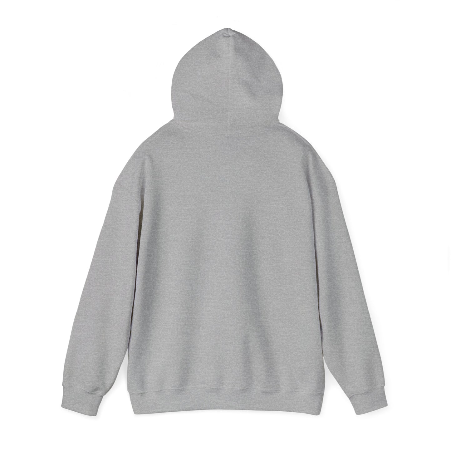 Highly Encouraged - Hooded Sweatshirt